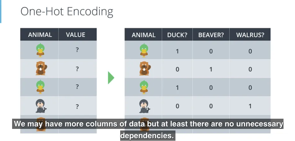 One-Hot Encoding duck, beaver, walrus